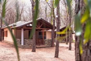 Villaggio Camping Pinetamare Pizzo  Luaran gambar